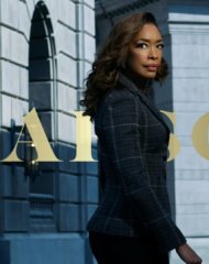 Дэвид Брайан Вудсайд в сериале Пирсон